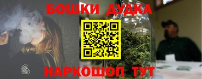 крисы Свободный