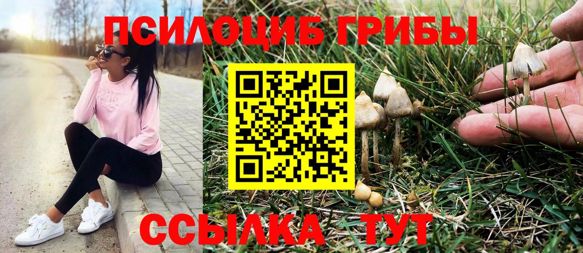 Псилоцибиновые грибы прущие грибы  Галлюциногенные грибы прущие грибы  Вход с VPN  Нурлат 