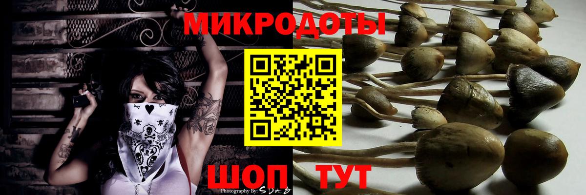Псилоцибиновые грибы мицелий Нурлат